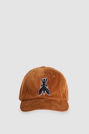 Patrizia Pepe Cotton Baseball Cap Beige | 874159-CMW