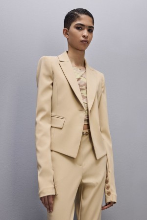 Patrizia Pepe Essential One-button Jacket Beige | 561738-TDN
