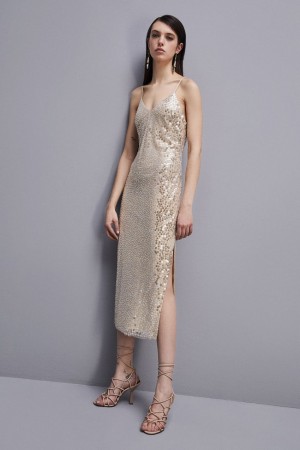 Patrizia Pepe Hand-embroidered Tulle Dress Beige | 095328-EDC