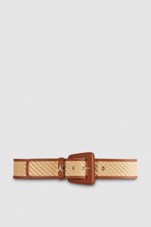 Patrizia Pepe High Waist Fabric Belt Braun | 341908-KLB