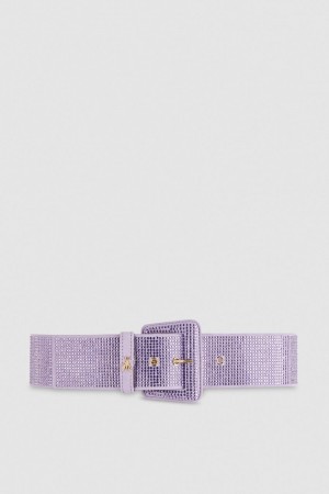 Patrizia Pepe High-waisted Belt With Rhinestones Rosa | 941832-CFJ