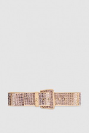 Patrizia Pepe High-waisted Belt With Rhinestones Rosa | 274650-GZT