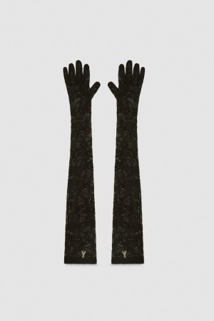 Patrizia Pepe Long Stretch Lace Gloves Schwarz | 260419-KVC