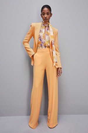 Patrizia Pepe Sablè Crepe Palazzo Pants Orange | 593602-STH